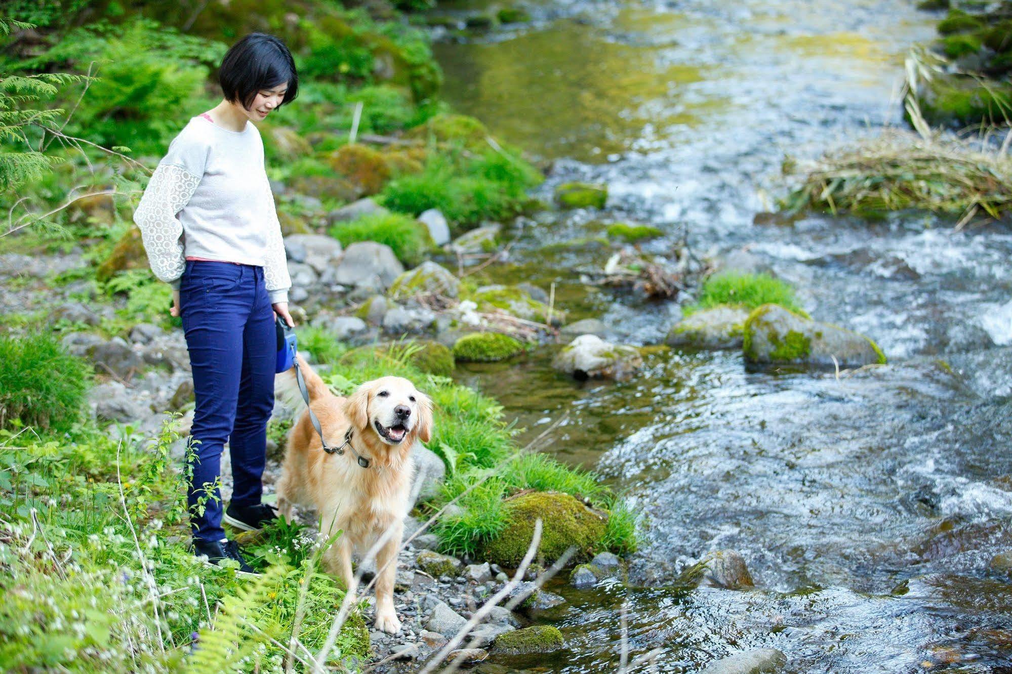 Izumigo Takayama Dog Paradise Hotel Экстерьер фото